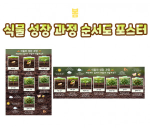 식물 성장 과정 순서도 포스터