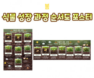 식물 성장 과정 순서도 포스터