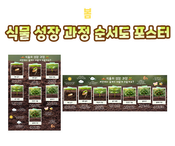 식물 성장 과정 순서도 포스터
