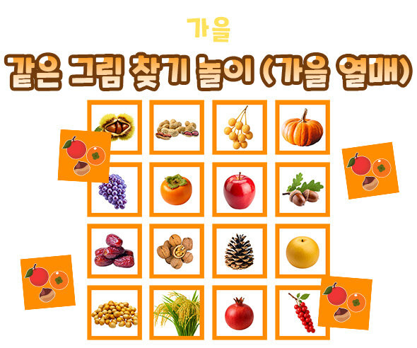 같은 그림 찾기 놀이 (가을 열매)