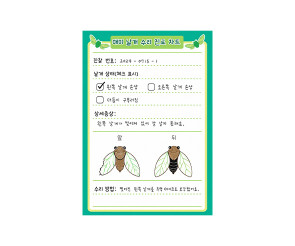 매미 날개 수리 진료 차트