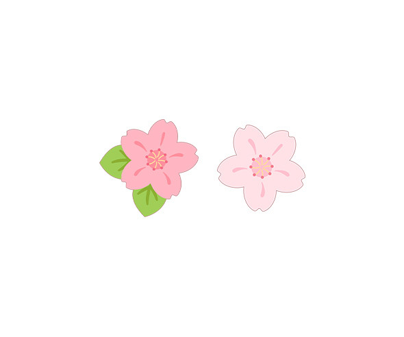 벚꽃