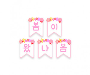 봄이 왔나봄 가랜드