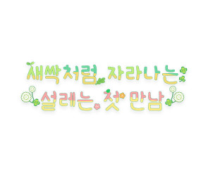 새싹처럼 자라나는 설레는 첫 만남 레터링