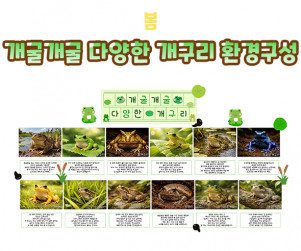 개굴개굴 다양한 개구리 환경구성