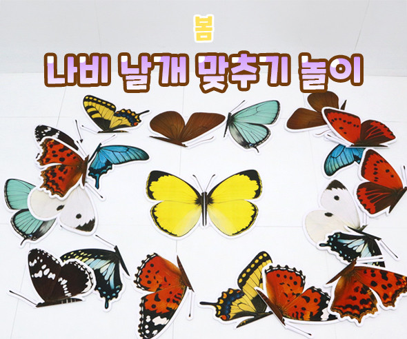 나비 날개 맞추기 놀이
