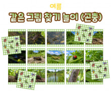 같은 그림 찾기 놀이 (곤충)