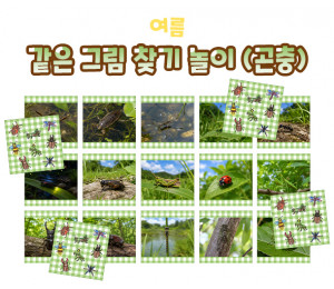 같은 그림 찾기 놀이 (곤충)