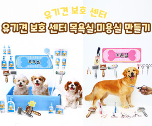 유기견 보호 센터 목욕실, 미용실 만들기