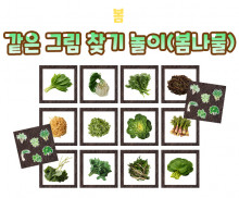 같은 그림 찾기 놀이 (봄나물)