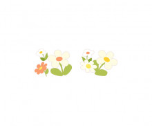꽃