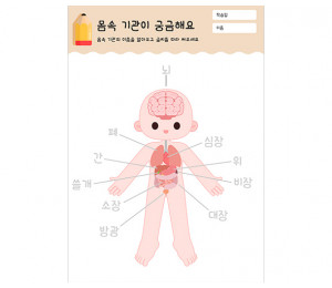 몸속기관이 궁금해요