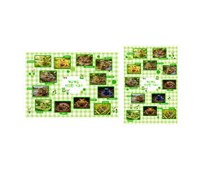 개굴개굴 다양한 개구리