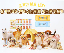유기견 보호 센터 쉬는 곳, 밥 먹는 곳 만들기