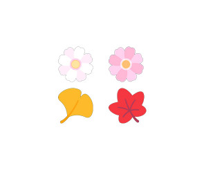 코스모스, 단풍