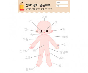 신체기관이 궁금해요