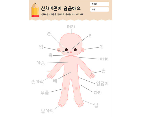 신체기관이 궁금해요