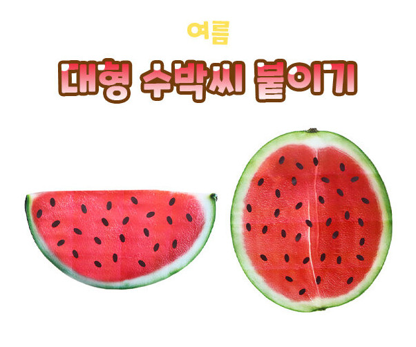 대형 수박씨 붙이기