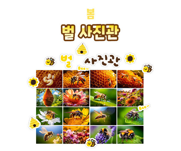 벌 사진관