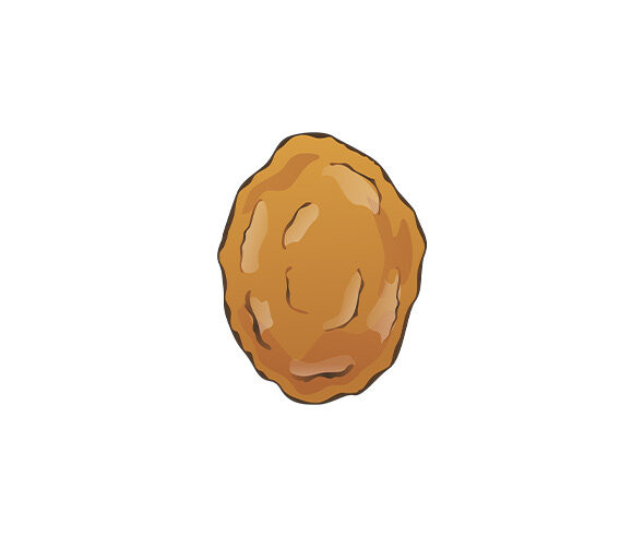 쥐포