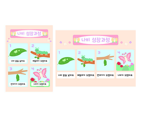 나비 성장과정