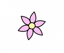 이미지