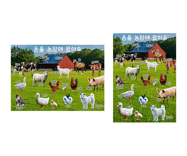 동물 농장에 왔어요