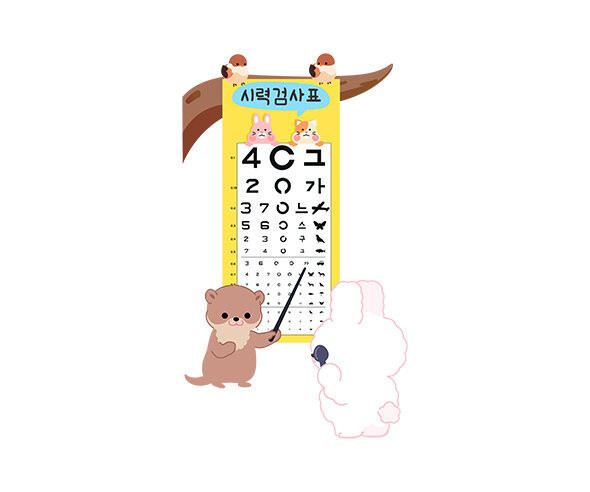 시력 검사하는 토끼