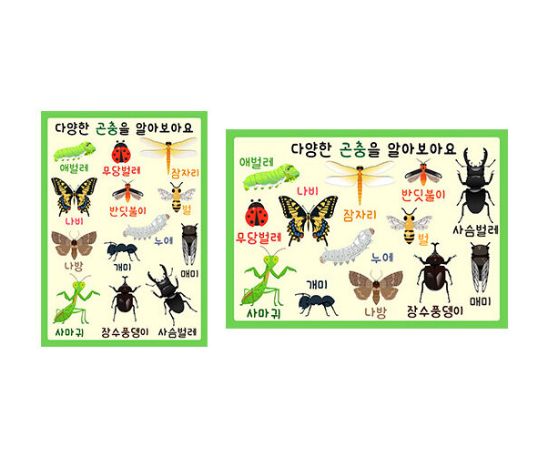 다양한 곤충