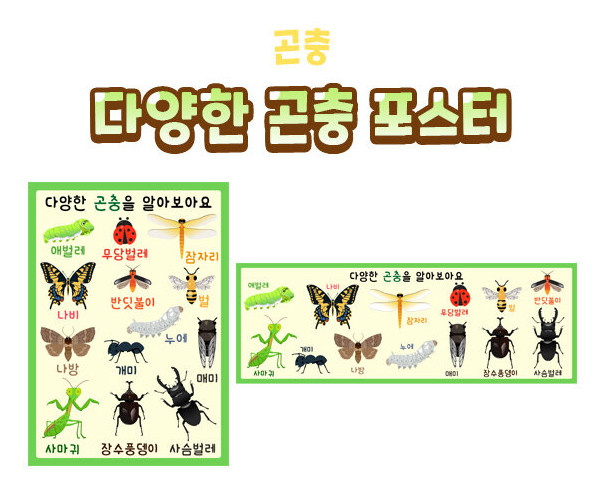 다양한 곤충 포스터