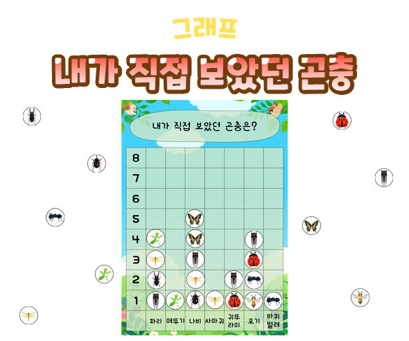 내가 직접 보았던 곤충 그래프