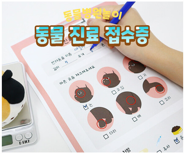 동물 진료 접수증