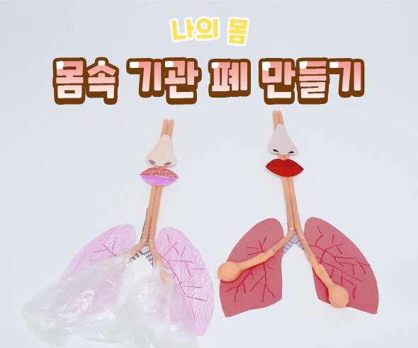 몸속 기관 폐 만들기