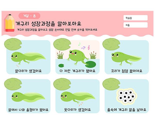 개구리 성장과정을 알아봐요
