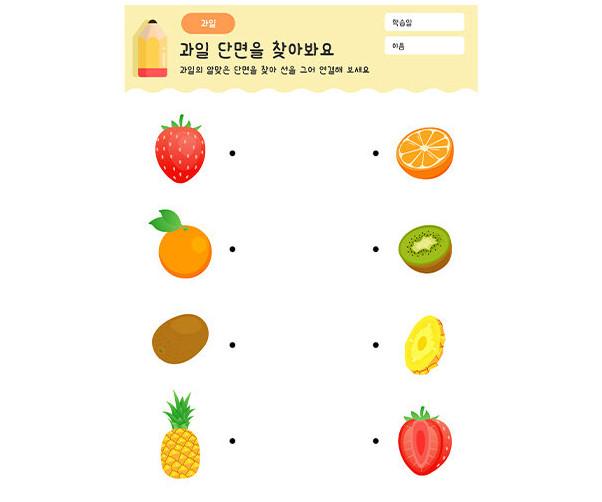 과일 단면을 찾기