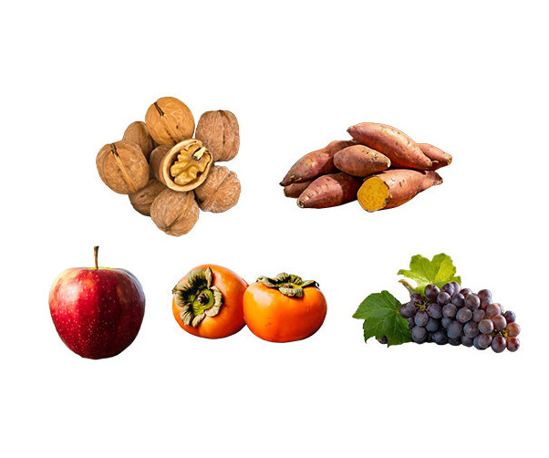 가을 열매