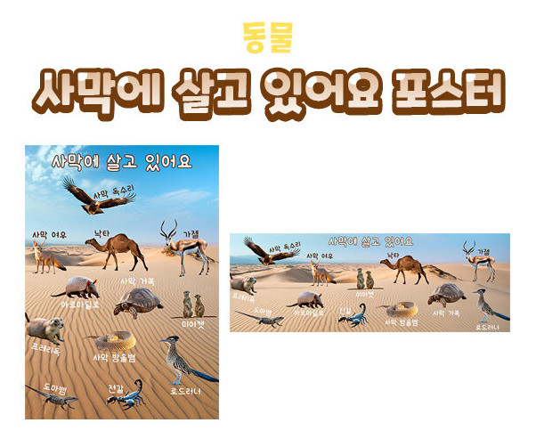 사막에 살고 있어요 포스터
