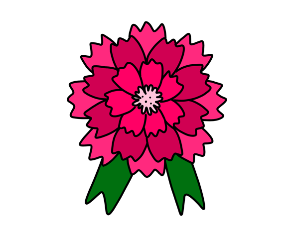 카네이션