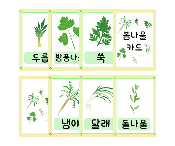 봄나물 카드