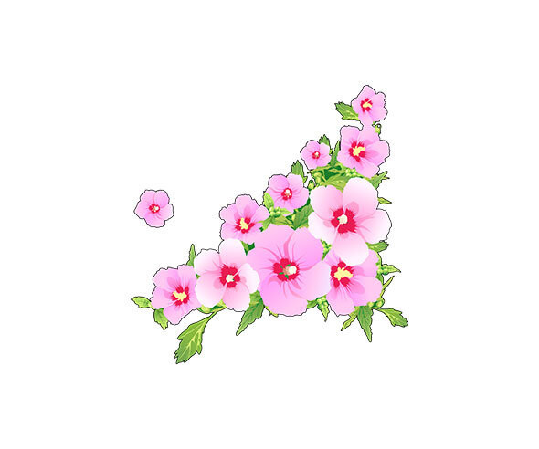 무궁화