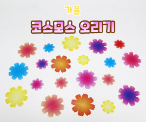 코스모스 오리기