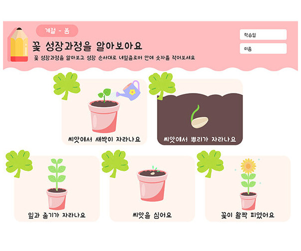 꽃 성장과정을 알아보아요