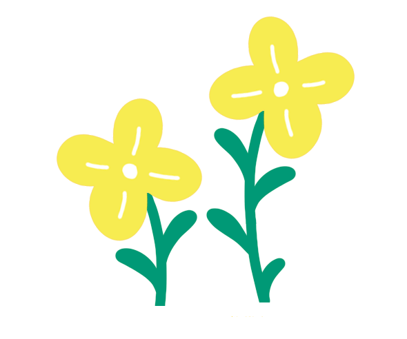 꽃