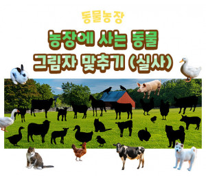 농장에 사는 동물 그림자 맞추기(실사)