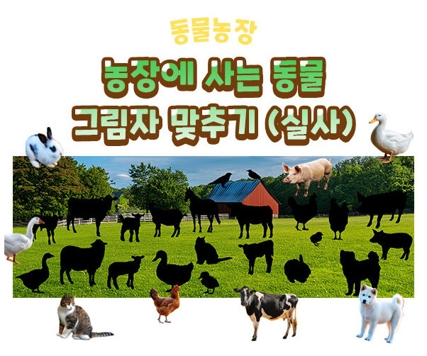 농장에 사는 동물 그림자 맞추기(실사)