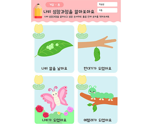 나비 성장과정을 알아봐요