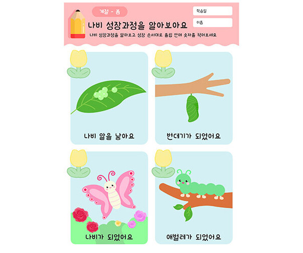 나비 성장과정을 알아봐요