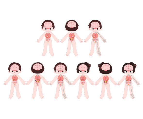 사람 몸속 기관(전신)