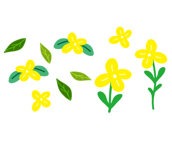 꽃모음