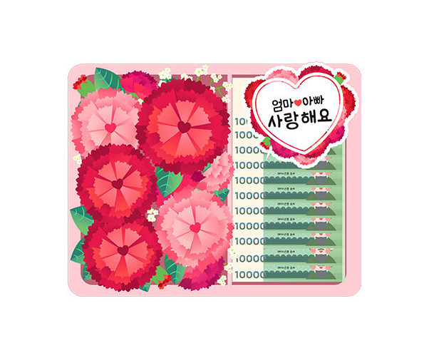카네이션 용돈 선물